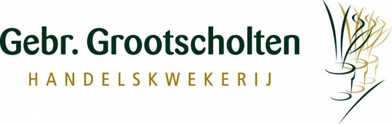 logo gebr grootscholten