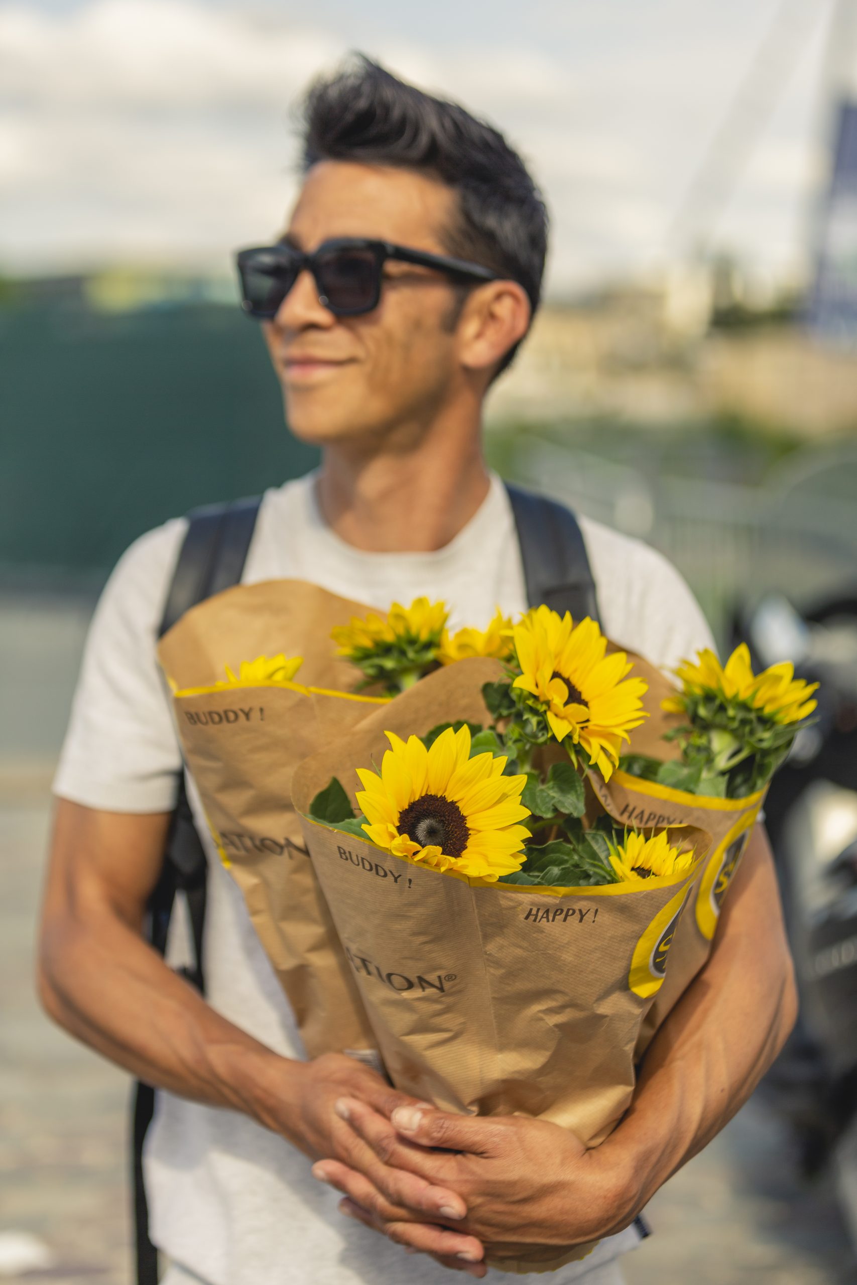 Helianthus Sunsation_CF_Evanthia_485A9080
