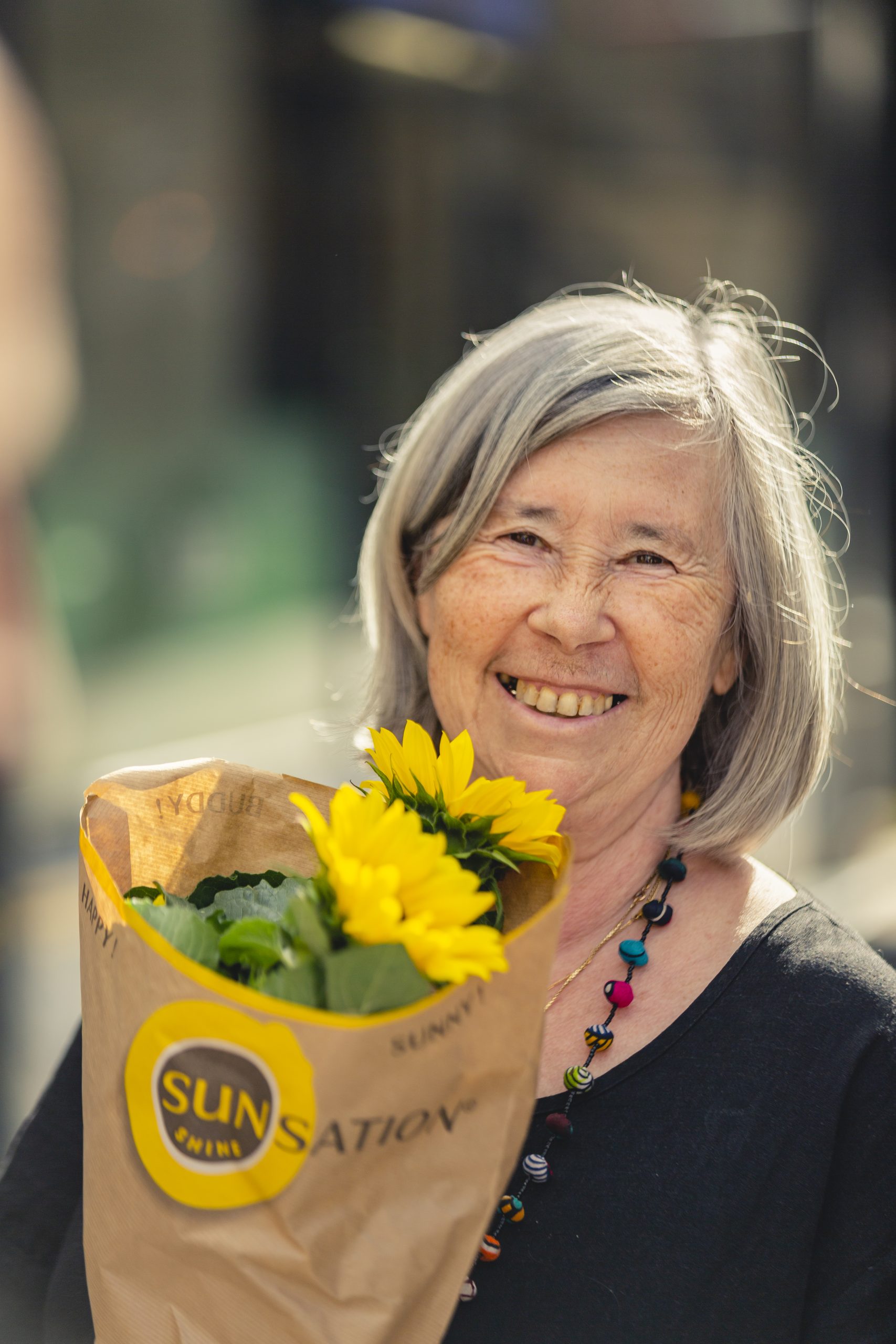 Helianthus Sunsation_CF_Evanthia_485A9248